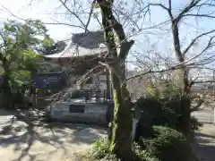 珊瑚寺の建物その他