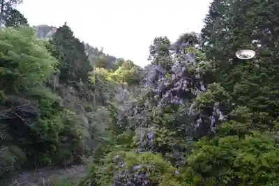 比叡山延暦寺の周辺