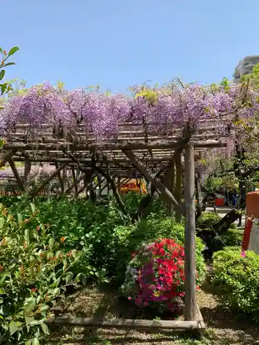亀戸天神社(東京都)