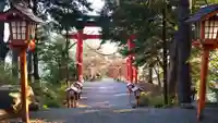 新倉富士浅間神社の鳥居