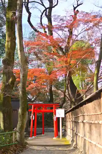 賀茂御祖神社（下鴨神社）(京都府)
