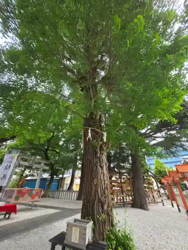 草加神社(埼玉県)