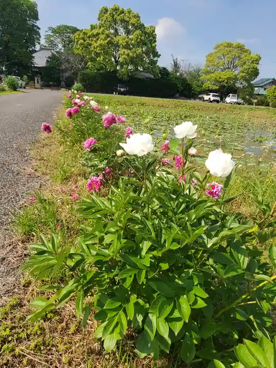 源昌院(埼玉県)