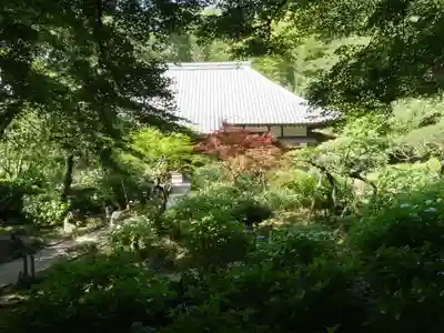 浄慶寺の本殿・本堂
