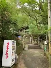 天照大神高座神社の鳥居