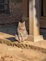 白幡八幡神社(神奈川県)