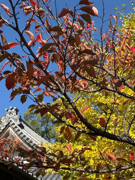 一乗院(和歌山県)