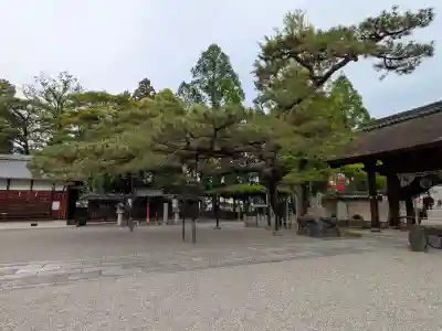 立木神社の{uncategorized: "未分類", other: "その他", undefined: "問題あり", building: "その他建物", grave: "お墓", sacred_gate: "鳥居", guardian: "狛犬", statue: "像", buddha: "仏像", history: "歴史", nature: "自然", garden: "庭園", animal: "動物", pagoda: "塔", temizu: "手水舎", mountain_gate: "山門・神門", sanctuary: "本殿・本堂", subordinate: "末社・摂社", art: "芸術", scenery: "景色", jizo: "地蔵", ema: "絵馬", goshuin: "御朱印", omikuji: "おみくじ", items: "授与品その他", amulet: "お守り", goshuincho: "御朱印帳", eats: "食事", festival: "お祭り", votive_dance: "神楽", shichigosan: "七五三参", wedding: "結婚式", experience: "体験その他", initially: "初詣", around: "周辺", anti_infection: "感染症対策"}