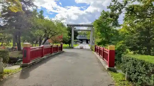 札幌護國神社の鳥居