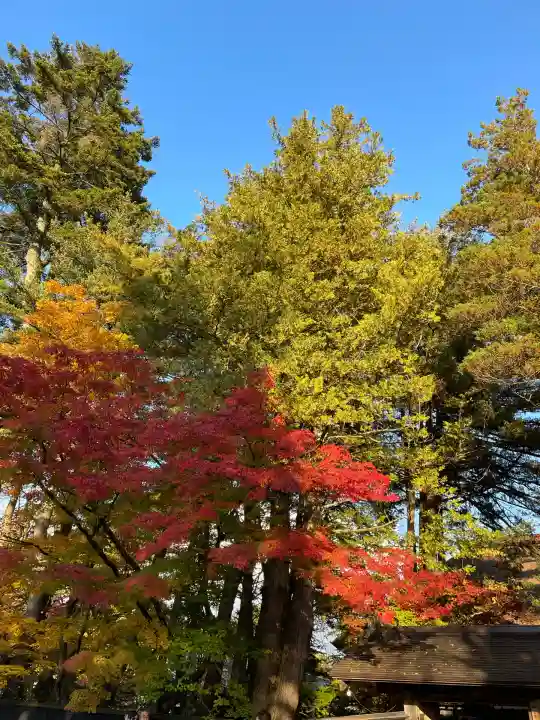 角館総鎮守 神明社(秋田県)
