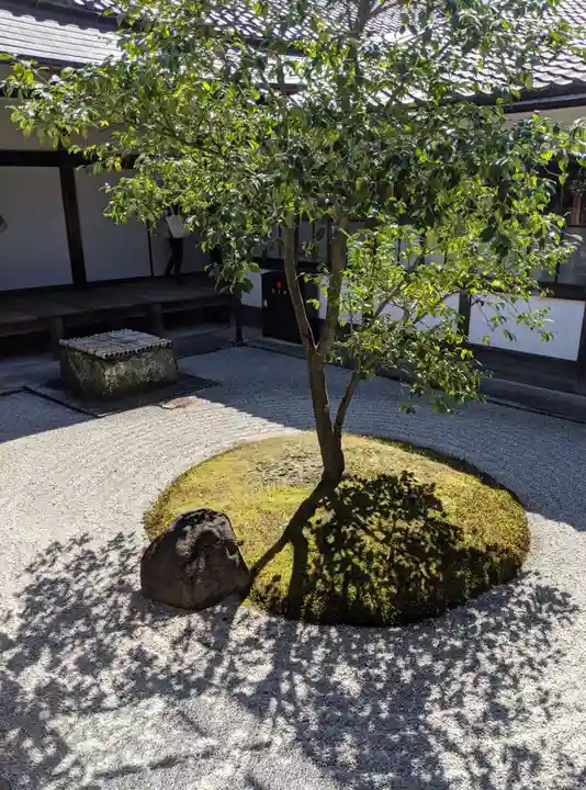 建仁寺(建仁禅寺)(京都府)