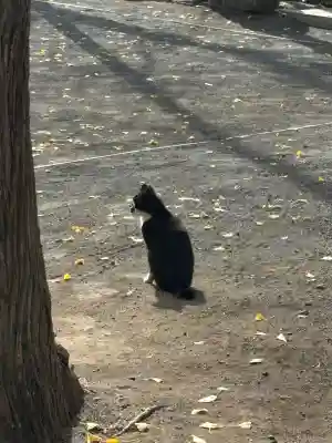 奥氷川神社(東京都)
