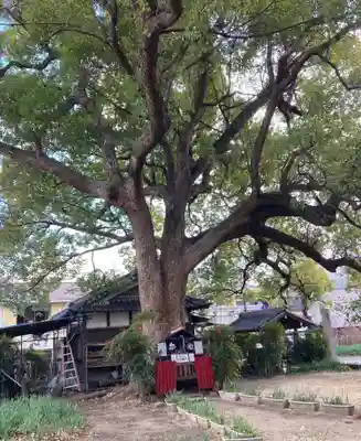 川邊八幡神社(大阪府)