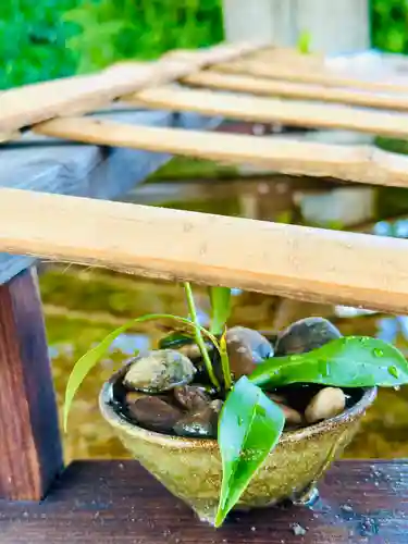 福井神社(福井県)