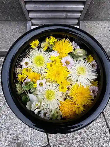 徳島眉山天神社(徳島県)