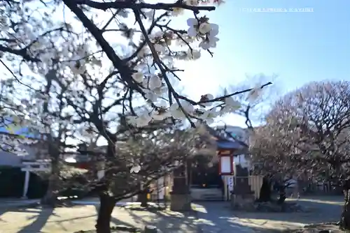 北野神社(東京都)