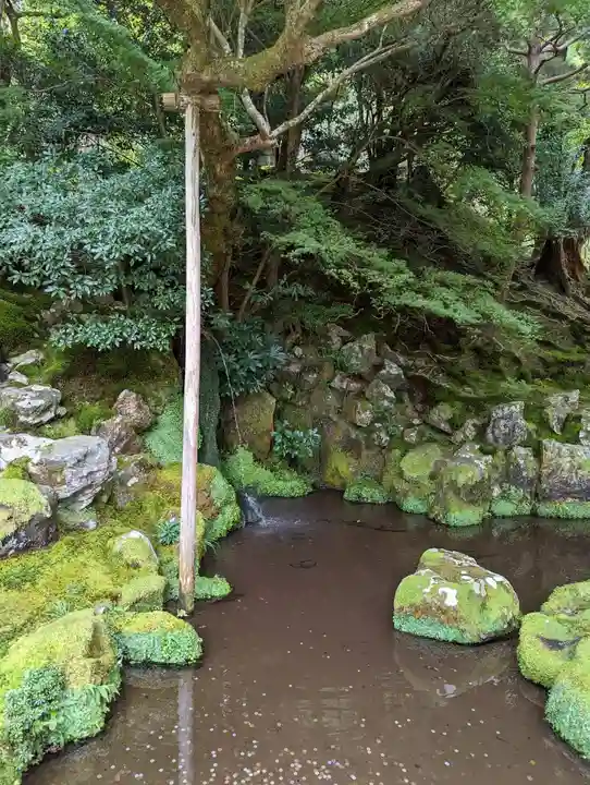 慈照寺(慈照禅寺・銀閣寺)(京都府)
