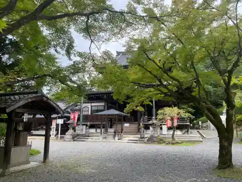 今熊野観音寺(京都府)