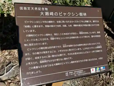 大瀬神社の{uncategorized: "未分類", other: "その他", undefined: "問題あり", building: "その他建物", grave: "お墓", sacred_gate: "鳥居", guardian: "狛犬", statue: "像", buddha: "仏像", history: "歴史", nature: "自然", garden: "庭園", animal: "動物", pagoda: "塔", temizu: "手水舎", mountain_gate: "山門・神門", sanctuary: "本殿・本堂", subordinate: "末社・摂社", art: "芸術", scenery: "景色", jizo: "地蔵", ema: "絵馬", goshuin: "御朱印", omikuji: "おみくじ", items: "授与品その他", amulet: "お守り", goshuincho: "御朱印帳", eats: "食事", festival: "お祭り", votive_dance: "神楽", shichigosan: "七五三参", wedding: "結婚式", experience: "体験その他", initially: "初詣", around: "周辺", anti_infection: "感染症対策"}