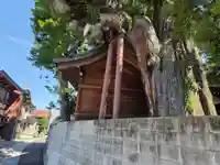 一本杉白山神社(岐阜県)
