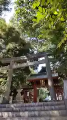 金王八幡宮の鳥居