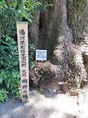 五所神社(神奈川県)