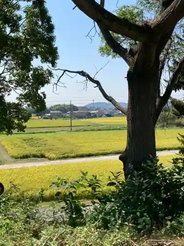 神吉八幡神社の景色