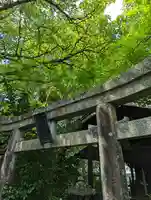 木食寺安祥院(京都府)