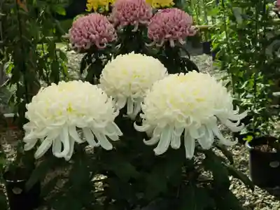 笠間稲荷神社(茨城県)