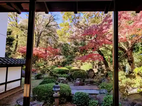 妙法寺(東京都)