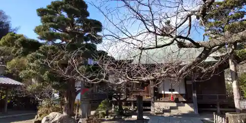 極楽寺（霊鷲山感應院極楽律寺）の本殿・本堂