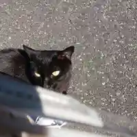 高福寺(栃木県)