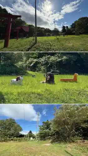 沼尻白旗神社(北海道)