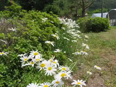 旗挙八幡宮の自然
