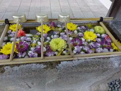 日蓮宗　浄運寺の手水舎