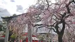 車折神社の自然