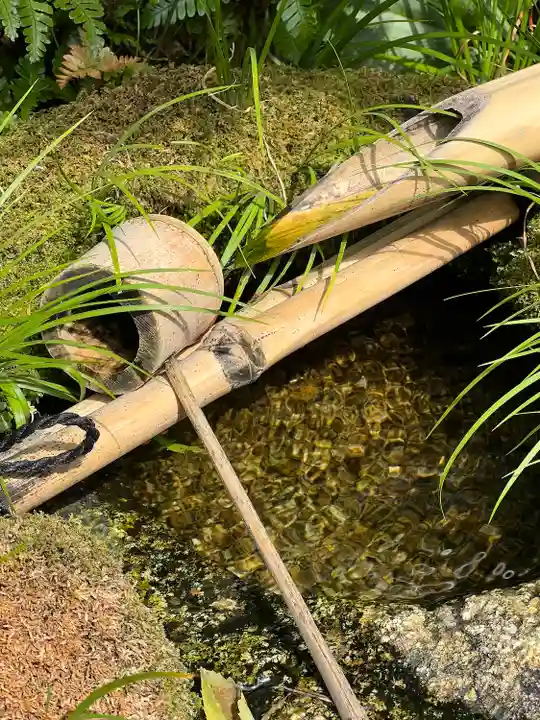 退蔵院(京都府)