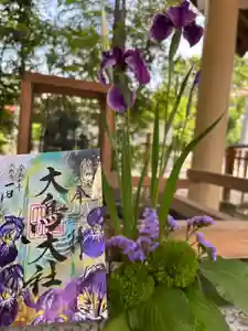 和泉國一之宮 大鳥大社の御朱印 2025年06月01日(日)〜(2025年05月29日(木) 11時18分59秒投稿)