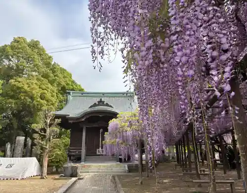 大神宮(福岡県)