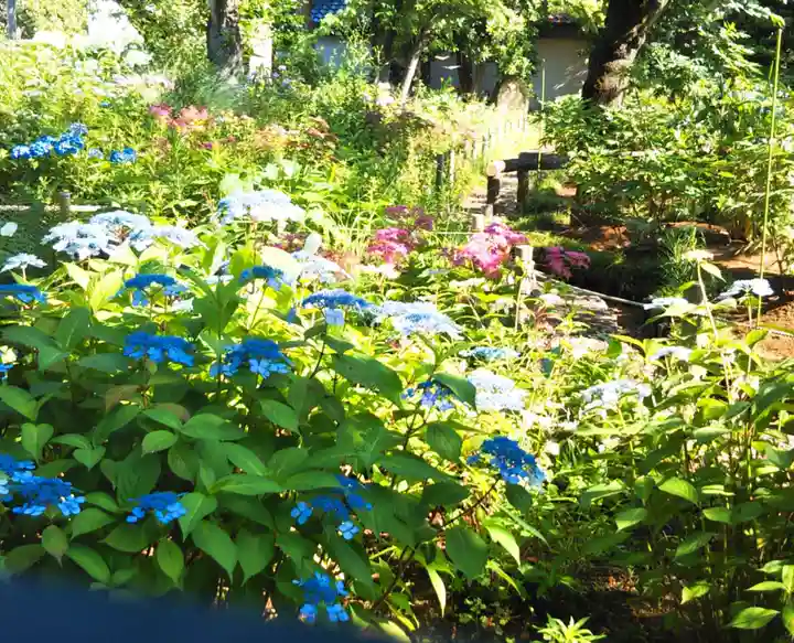 西新井大師総持寺の自然