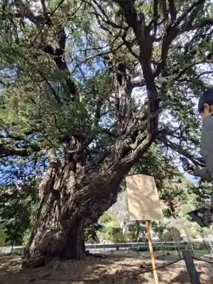 建長寺(神奈川県)