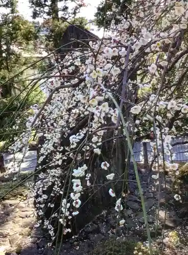 東長谷寺　薬王院(東京都)
