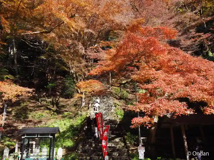 金剛院(京都府)