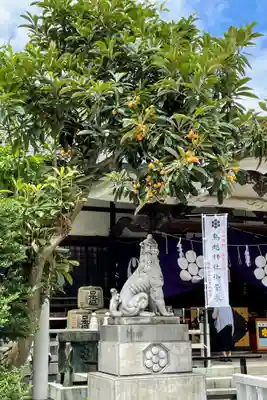 鳥越神社の狛犬
