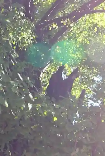 飛木稲荷神社(東京都)