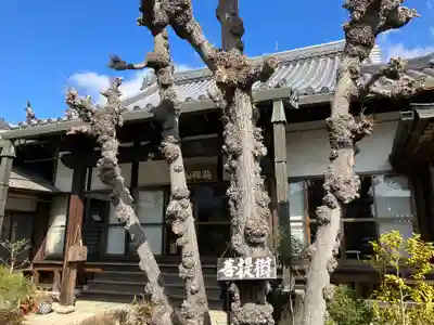 圓通寺(兵庫県)