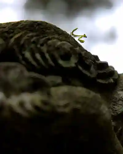 國王神社(茨城県)