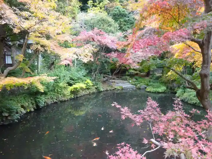鶴岡八幡宮(神奈川県)