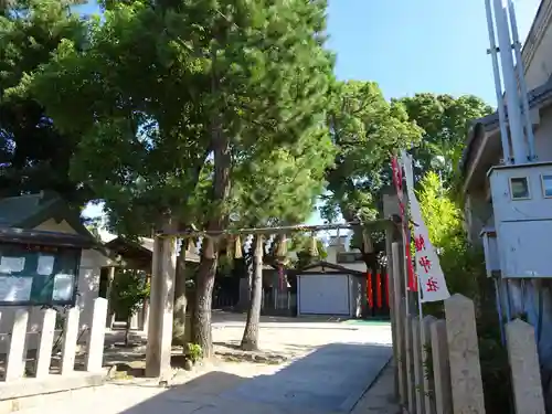 七松八幡神社の鳥居