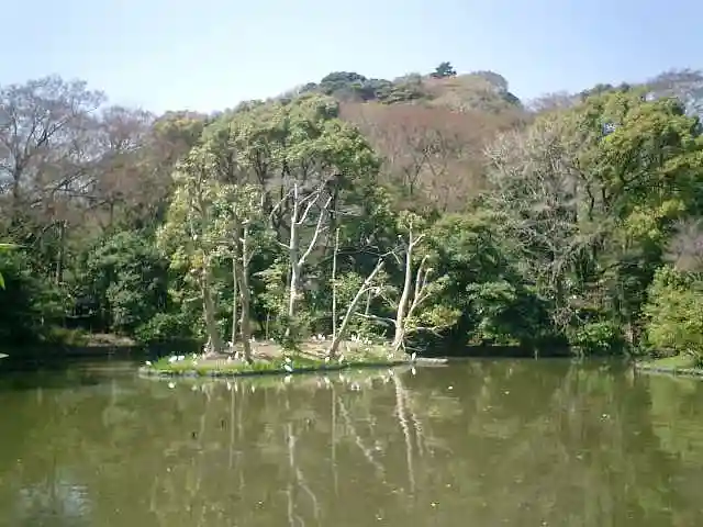 鶴岡八幡宮の景色